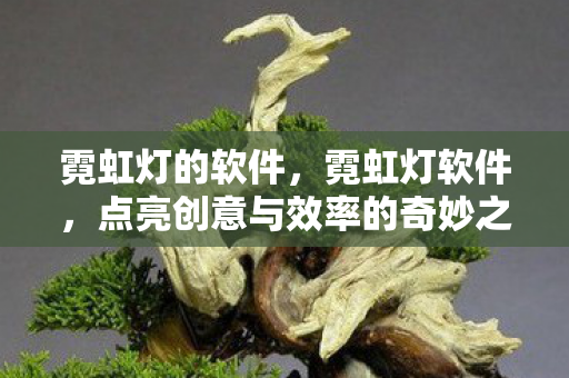 点亮创意与效率的奇妙之光图片