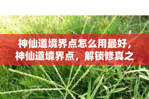 神仙道境界点怎么用最好图片