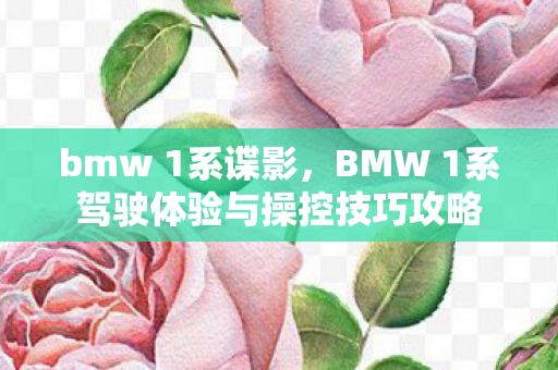 BMW 1系驾驶体验与操控技巧攻略图片
