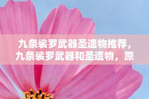 九条裟罗武器圣遗物推荐图片