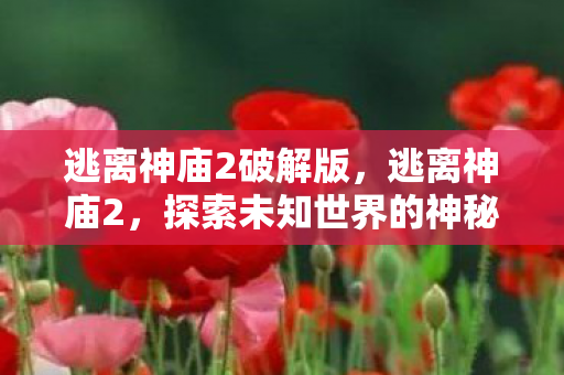 探索未知世界的神秘冒险图片