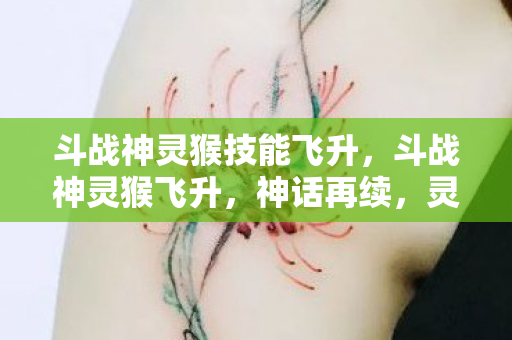 斗战神灵猴技能飞升图片