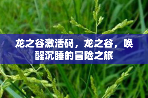 唤醒沉睡的冒险之旅图片