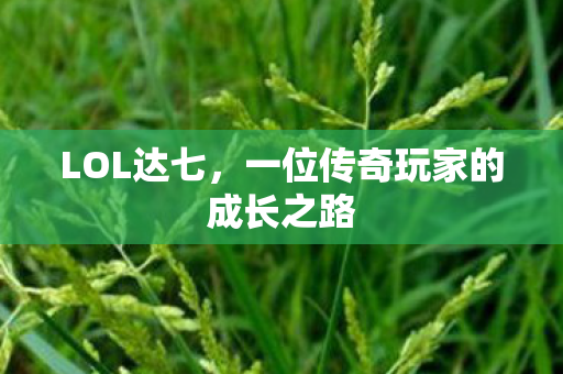 LOL达七，一位传奇玩家的成长之路