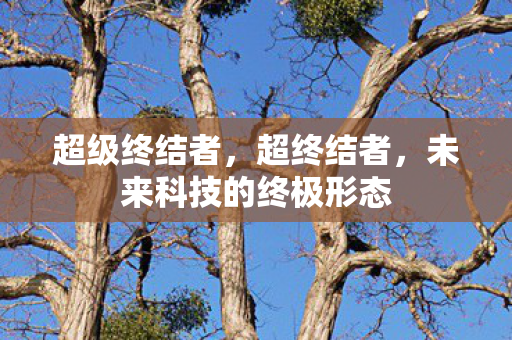 未来科技的终极形态图片