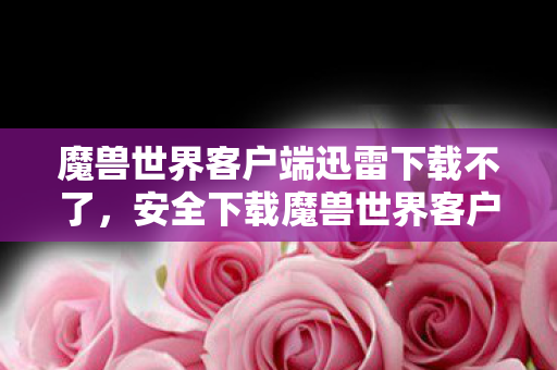 魔兽世界客户端迅雷下载不了图片