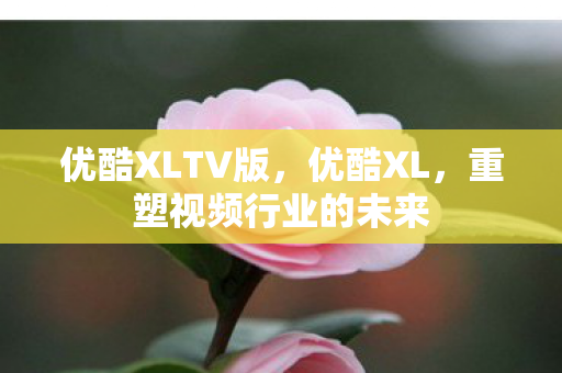 重塑视频行业的未来图片