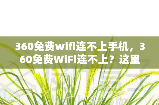 360免费wifi连不上手机图片