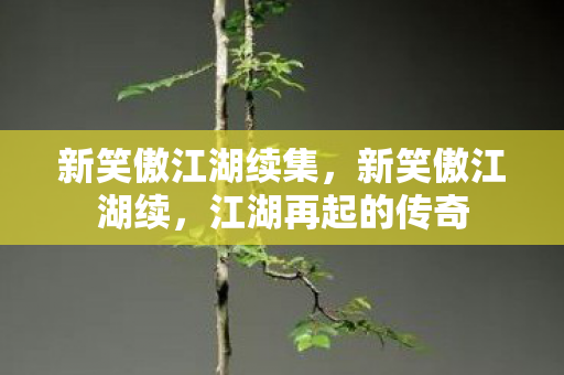 新笑傲江湖续集图片