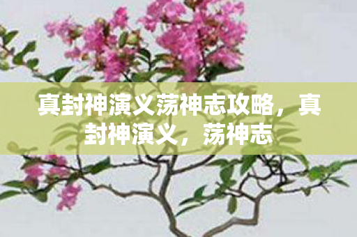 真封神演义荡神志攻略图片