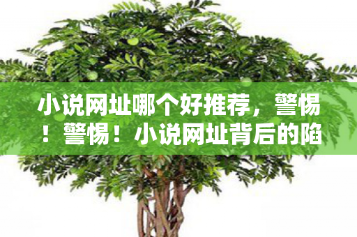 小说网址哪个好推荐图片