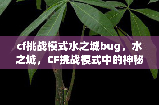 cf挑战模式水之城bug图片