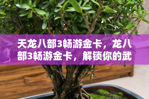 解锁你的武侠世界之旅图片