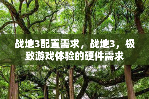 极致游戏体验的硬件需求图片