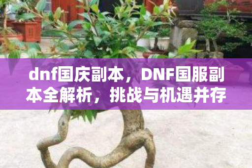 DNF国服副本全解析图片