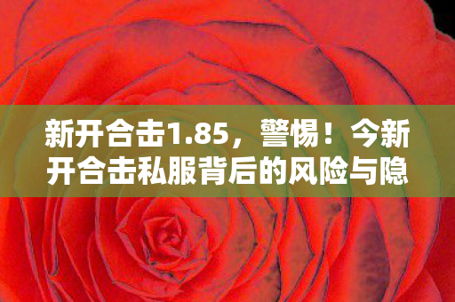 今新开合击私服背后的风险与隐患图片