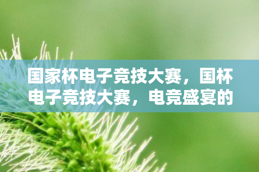 电竞盛宴的荣耀与梦想图片