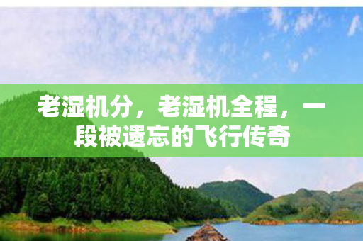 一段被遗忘的飞行传奇图片