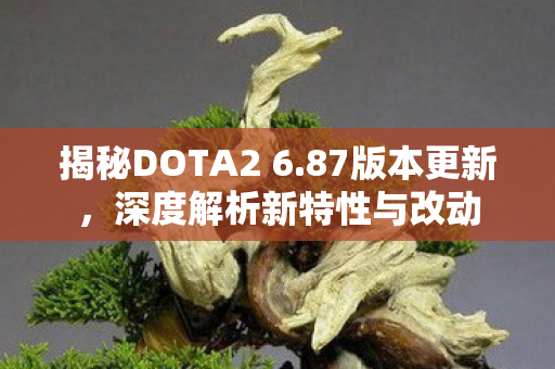 揭秘DOTA2 6.87版本更新，深度解析新特性与改动