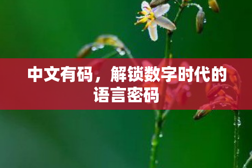 解锁数字时代的语言密码图片