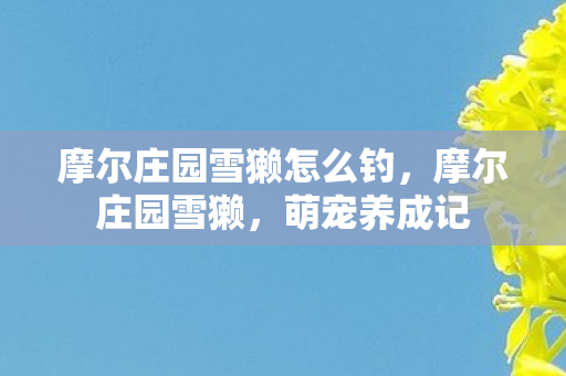 摩尔庄园雪獭怎么钓图片