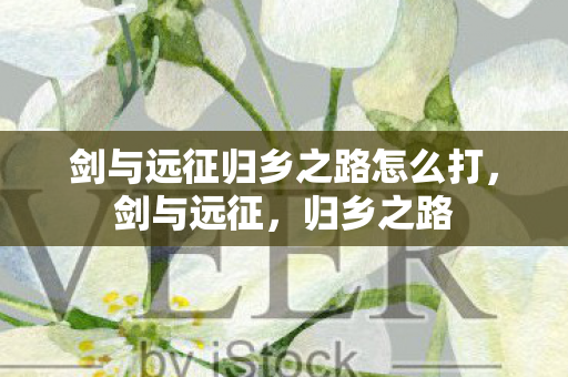 剑与远征归乡之路怎么打图片