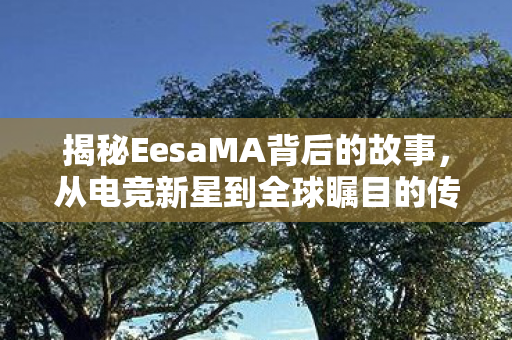 揭秘EesaMA背后的故事，从电竞新星到全球瞩目的传奇人物