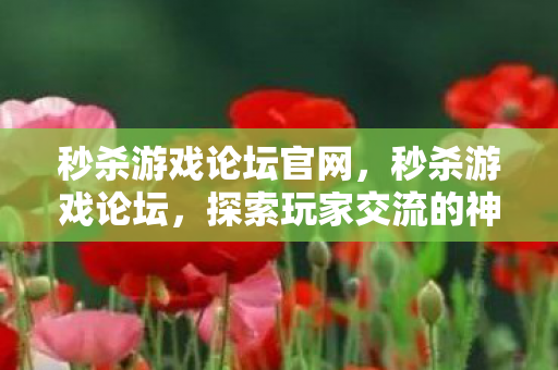 探索玩家交流的神秘领域图片