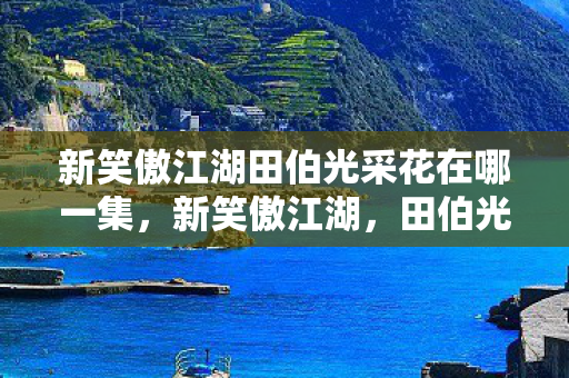 新笑傲江湖田伯光采花在哪一集图片