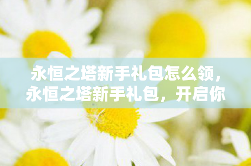 永恒之塔新手礼包怎么领图片