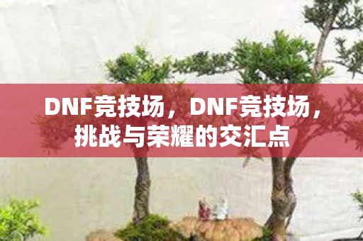 挑战与荣耀的交汇点图片