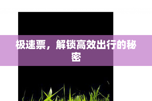 解锁高效出行的秘密图片