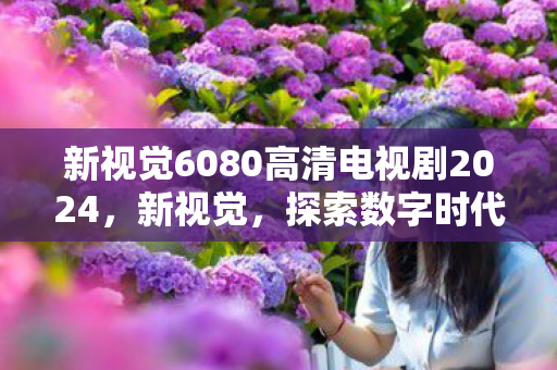 新视觉6080高清电视剧2024图片