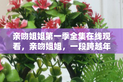 亲吻姐姐第一季全集在线观看图片