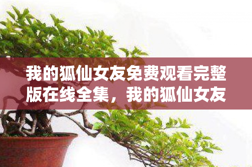 我的狐仙女友免费观看完整版在线全集图片