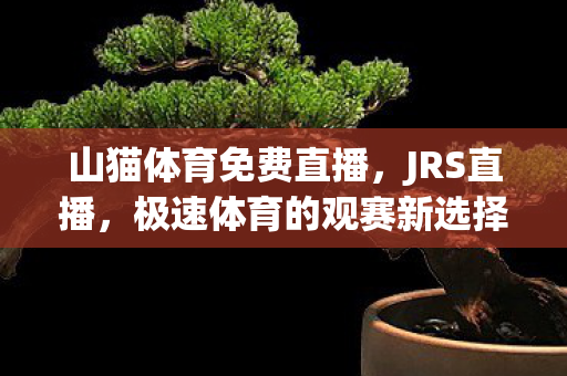 极速体育的观赛新选择图片