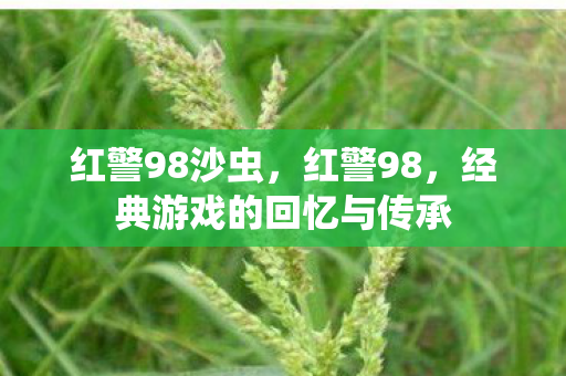 经典游戏的回忆与传承图片