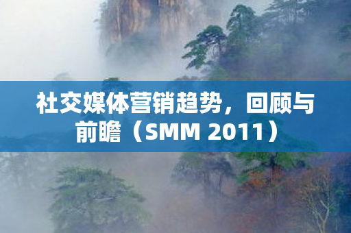 社交媒体营销趋势，回顾与前瞻（SMM 2011）