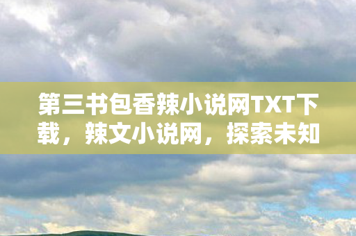 第三书包香辣小说网TXT下载图片