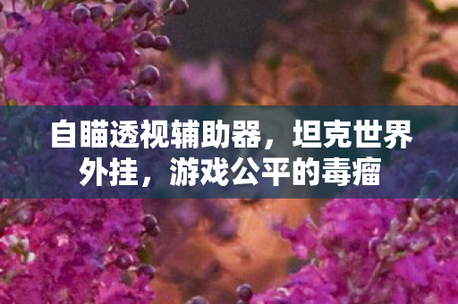 自瞄透视辅助器图片