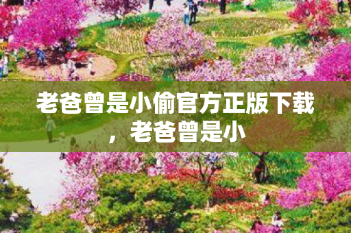 老爸曾是小偷官方正版下载图片