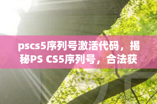 pscs5序列号激活代码图片