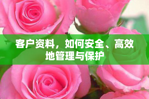 客户资料，如何安全、高效地管理与保护