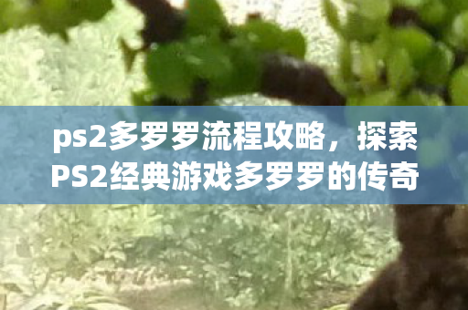 探索PS2经典游戏多罗罗的传奇之旅图片