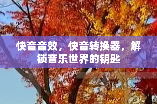 快音音效，快音转换器，解锁音乐世界的钥匙
