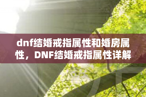 dnf结婚戒指属性和婚房属性图片