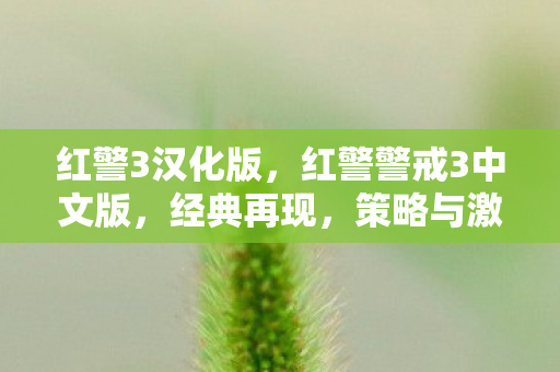 红警警戒3中文版图片