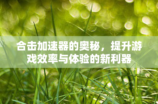 提升游戏效率与体验的新利器图片
