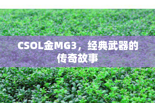 经典武器的传奇故事图片