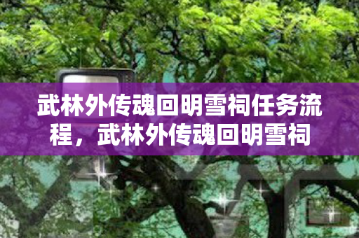 武林外传魂回明雪祠任务流程图片